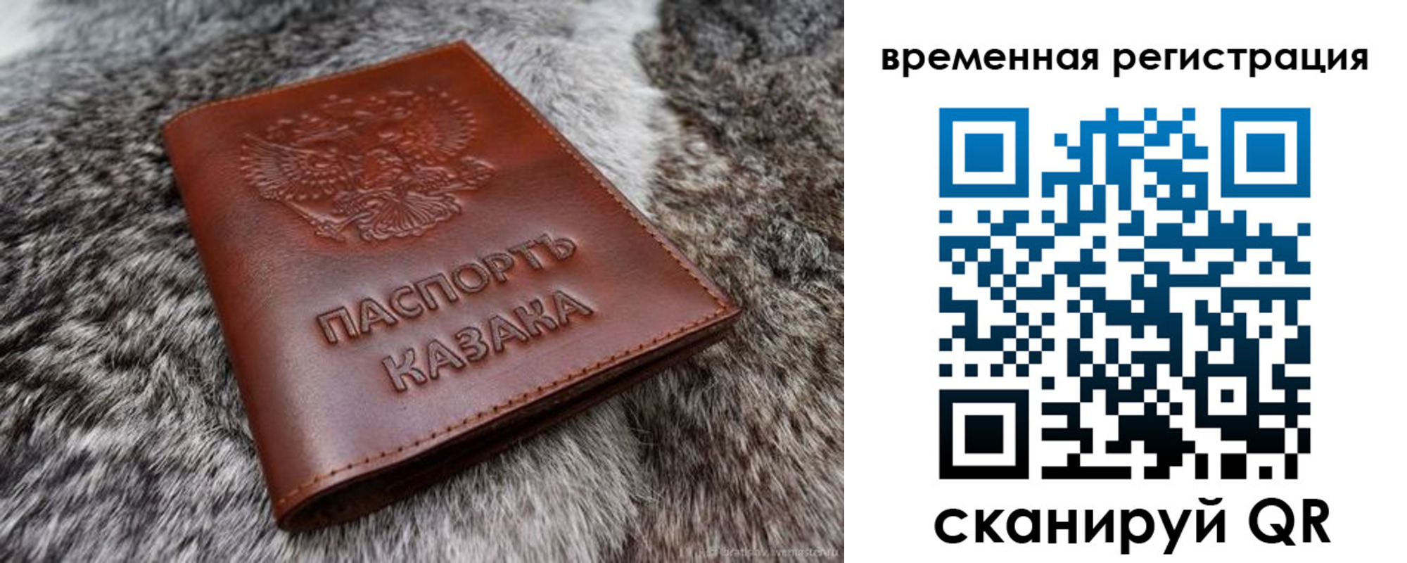 прописка 2025 в Павлово